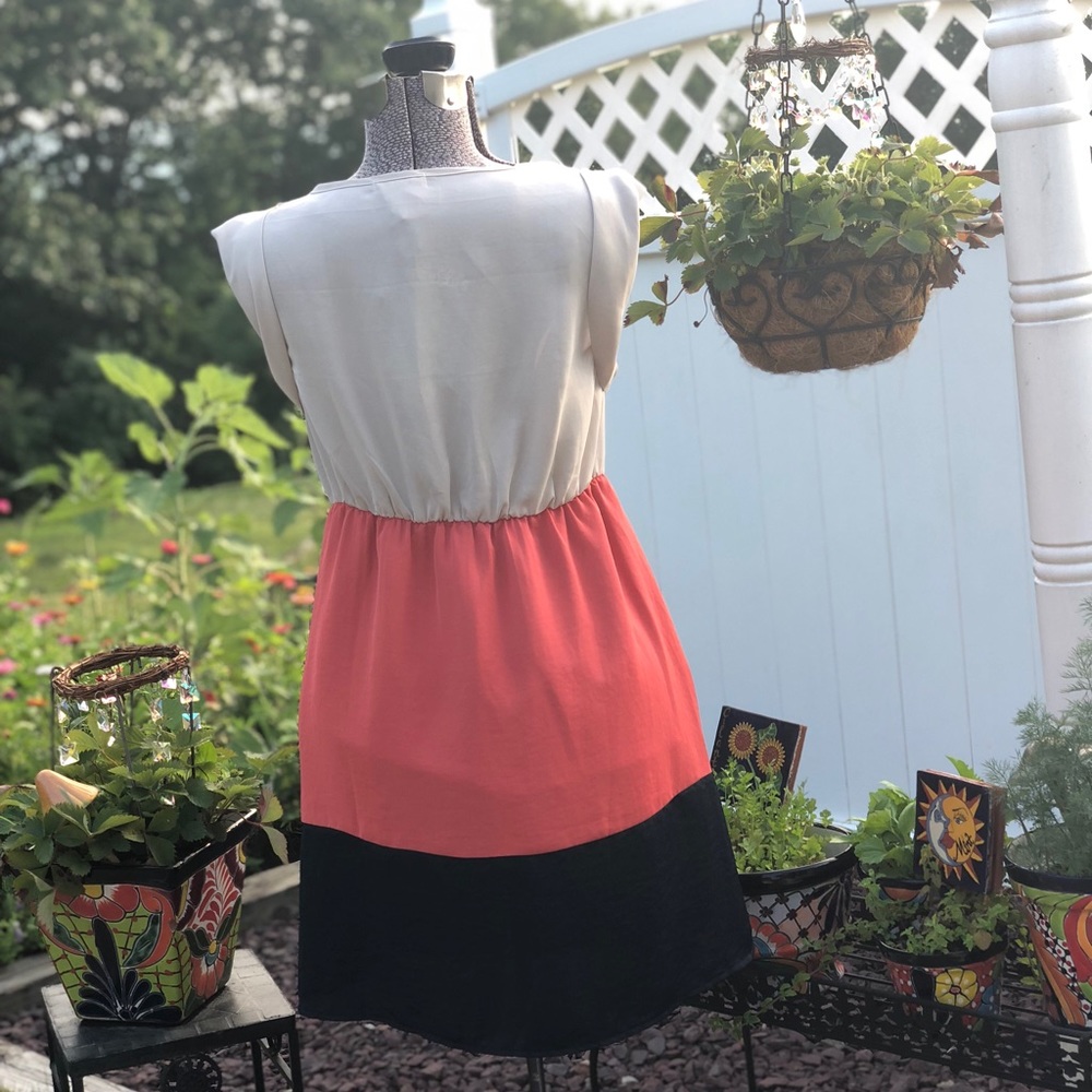 Lulu’s Color Block Dress - Picture 4 of 5